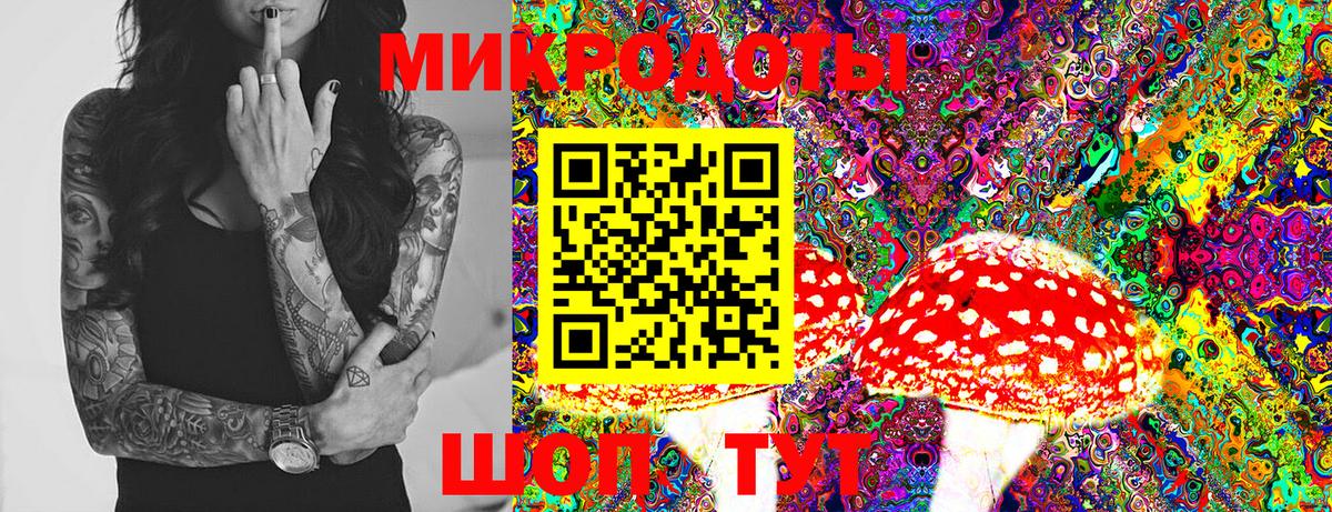 Элиста  Галлюциногенные грибы GOLDEN TEACHER  Вход с VPN 
